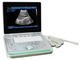 3D Digital B / W Portable Ultrasound Scanner With Convex Linear Transvaginal Probes