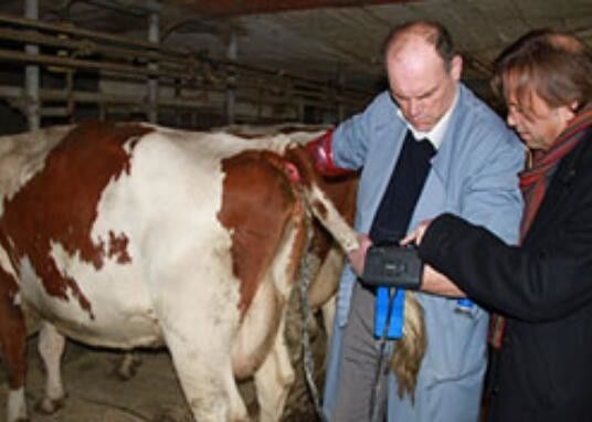 เครื่องสแกนอัลตราซาวนด์สัตวแพทย์แบบดิจิทัล